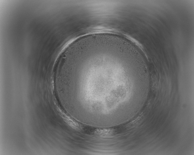 X0000059821415200510211135