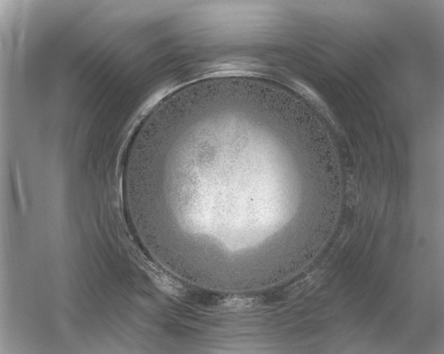 X0000059821419200510211135