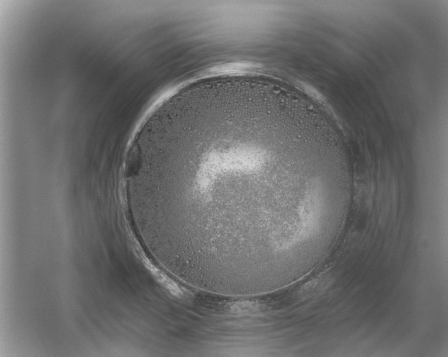 X0000059821421200510211135