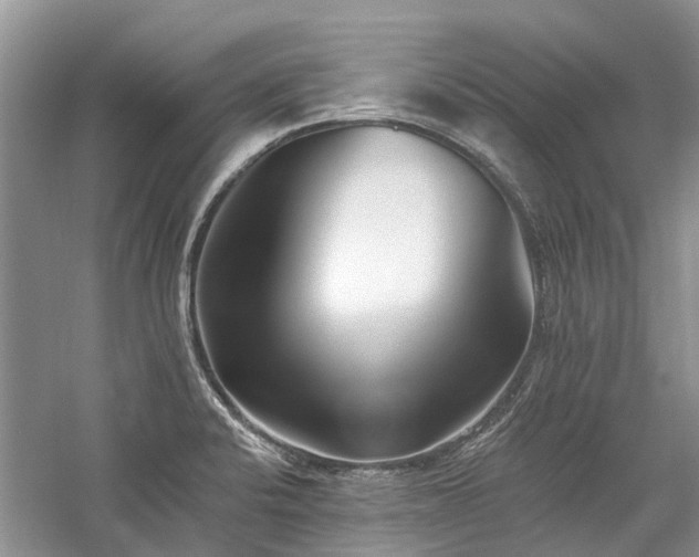 X0000059821424200510211135