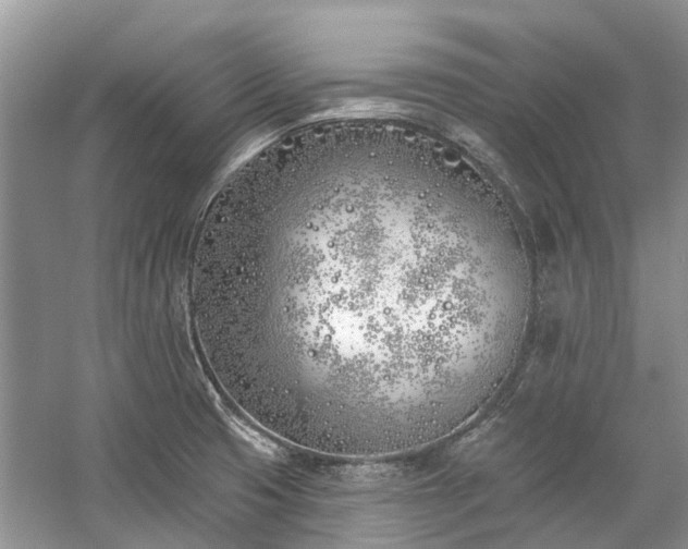 X0000059821425200510211135