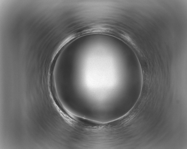 X0000059821426200510211135