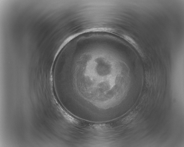 X0000059821428200510211135