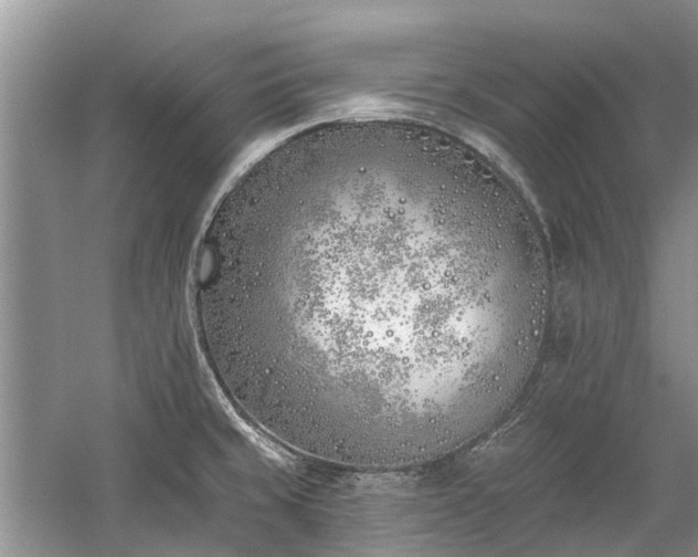 X0000059821429200510211135