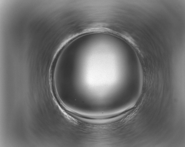 X0000059821430200510211135