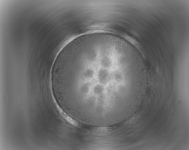 X0000059821431200510211135