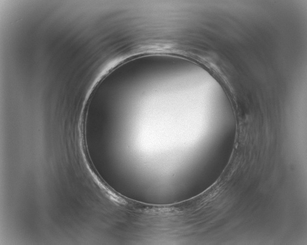 X0000059821432200510211135