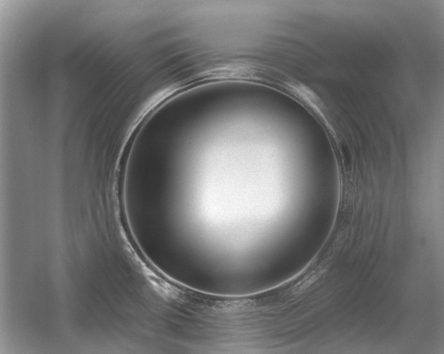 X0000059821434200510211135