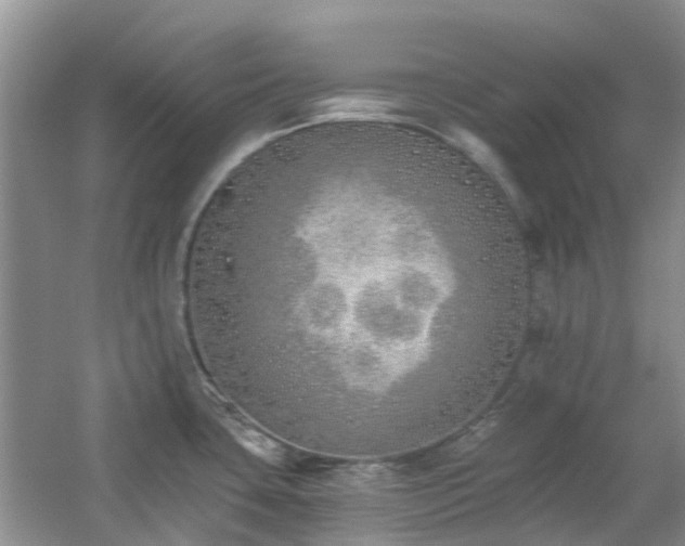 X0000059821435200510211135