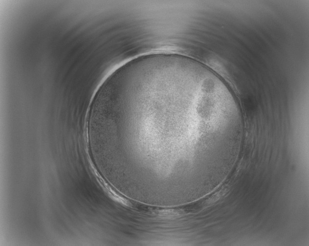 X0000059821436200510211135