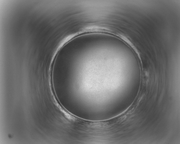 X0000059821437200510211135