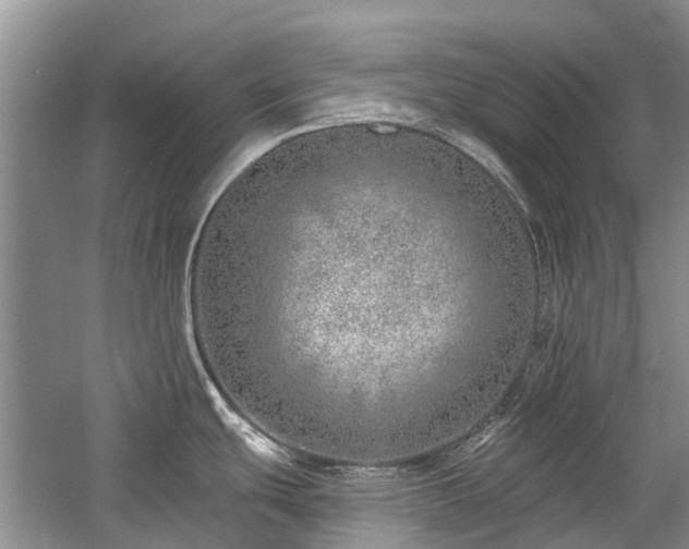 X0000059821439200510211135