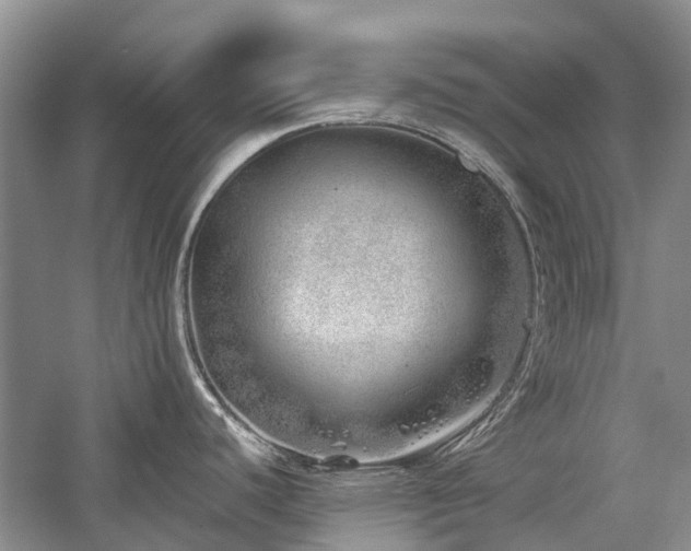 X0000059821440200510211135