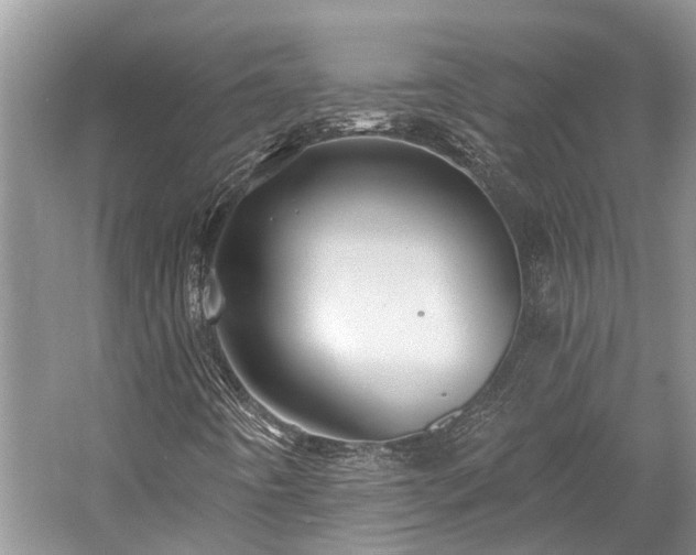 X0000059821442200510211134