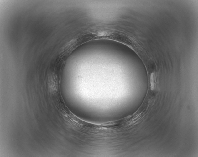 X0000059821443200510211134