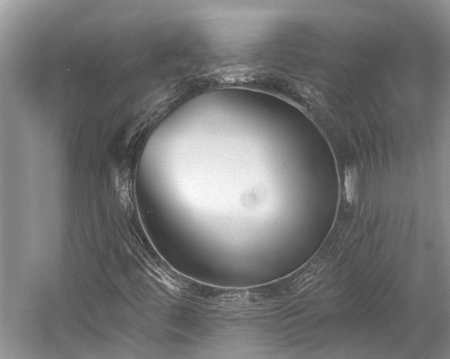 X0000059821444200510211134