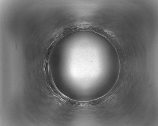 X0000059821445200510211134