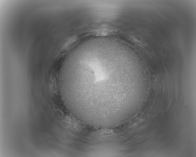 X0000059821446200510211134