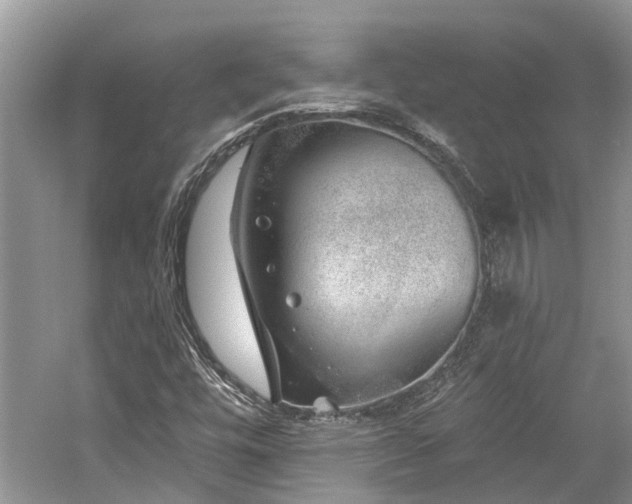 X0000059821448200510211134