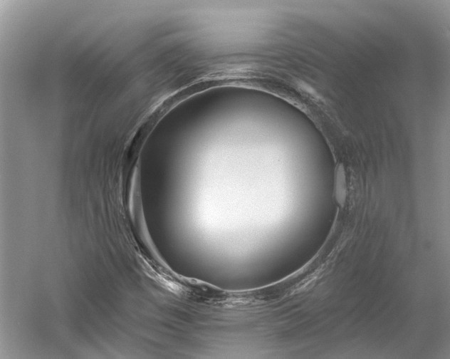 X0000059821449200510211134