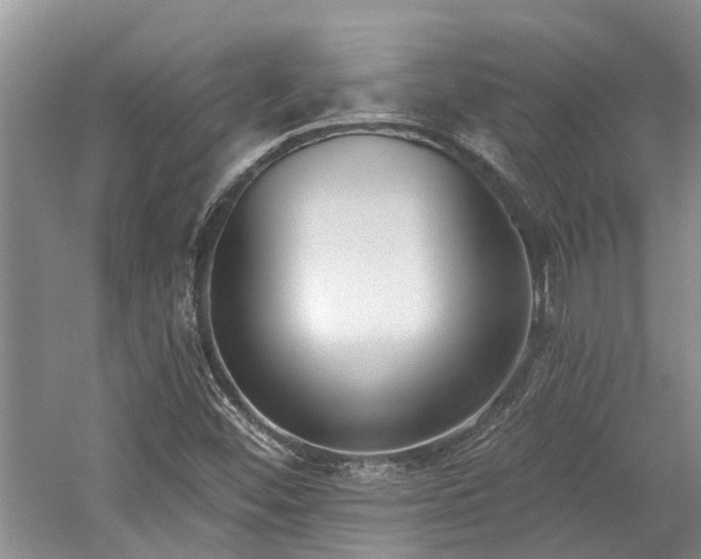 X0000059821452200510211134