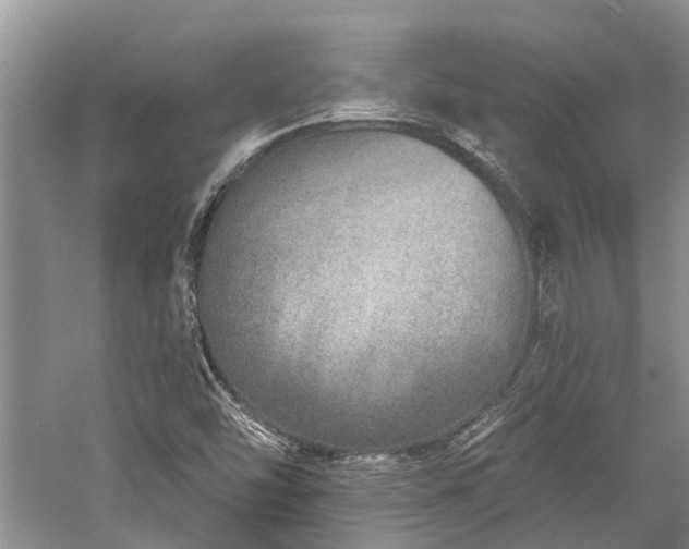 X0000059821454200510211134