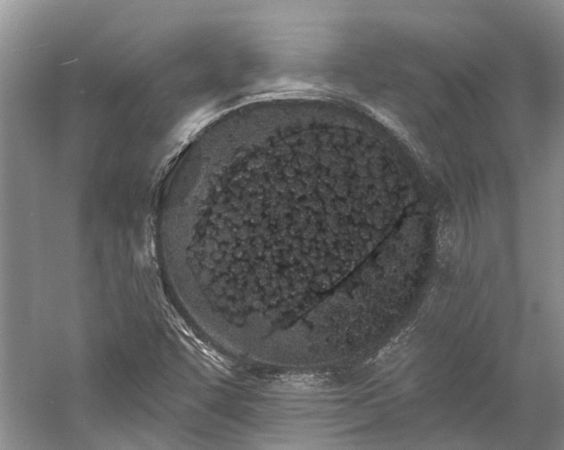 X0000059821455200510211134