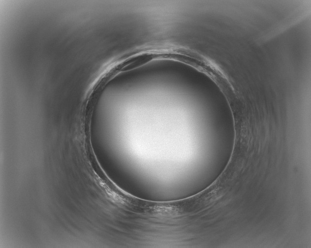 X0000059821456200510211134