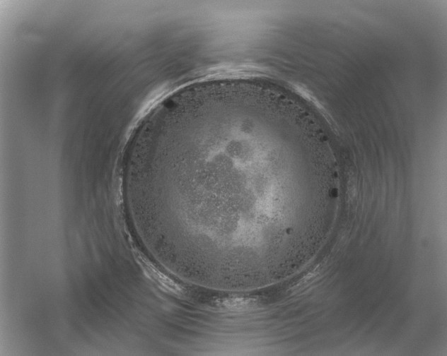 X0000059821459200510211134