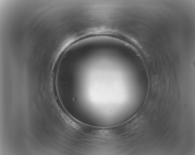 X0000059821463200510211134