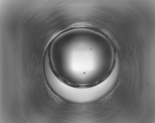 X0000059821465200510211134