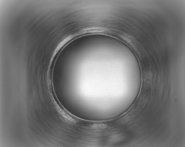 X0000059821466200510211134