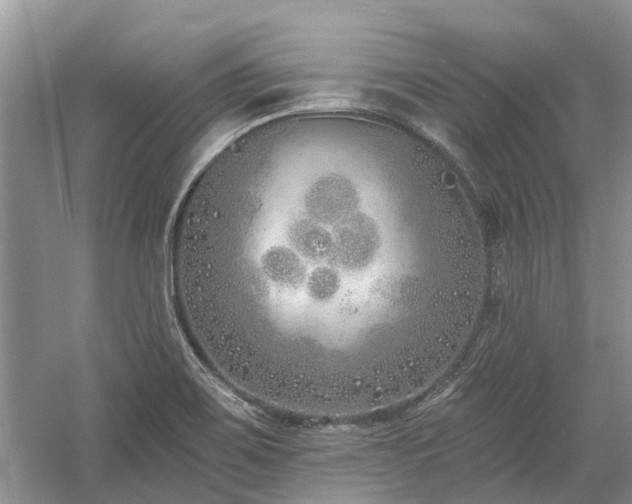 X0000059821467200510211134