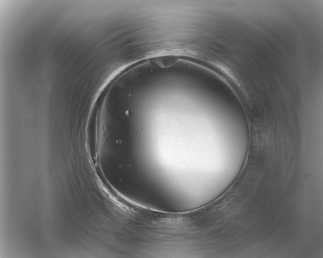 X0000059821468200510211134