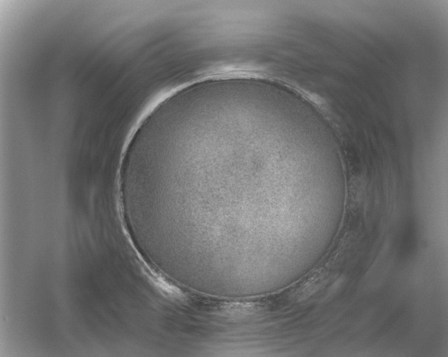 X0000059821470200510211134