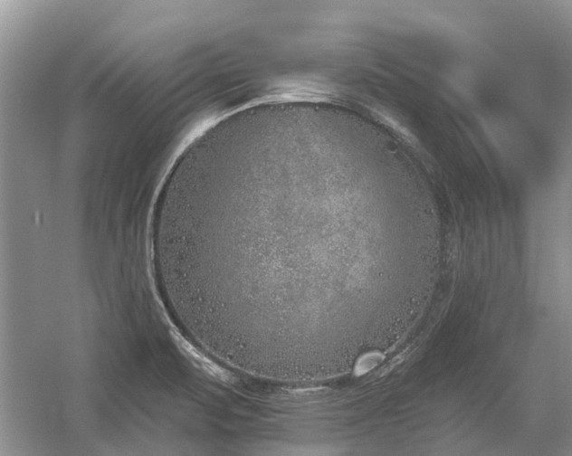 X0000059821471200510211134