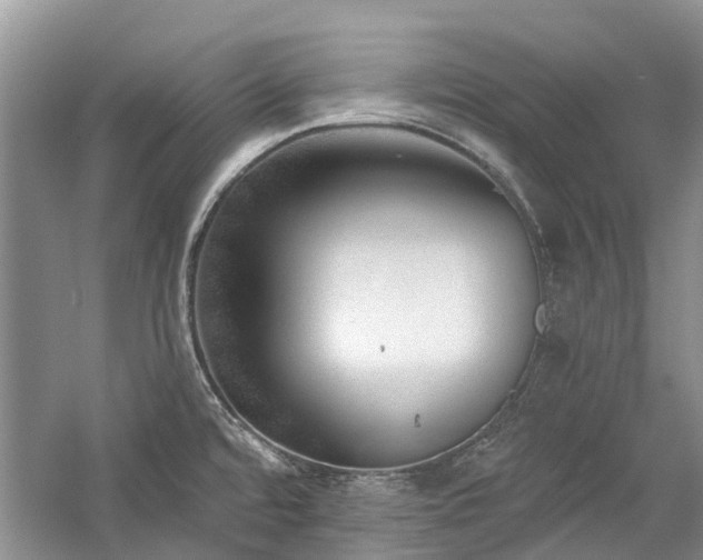 X0000059821480200510211134