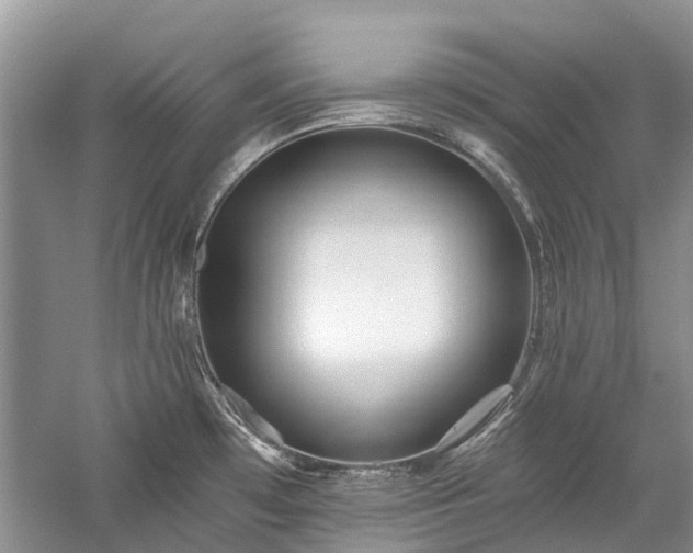 X0000059821481200510211134