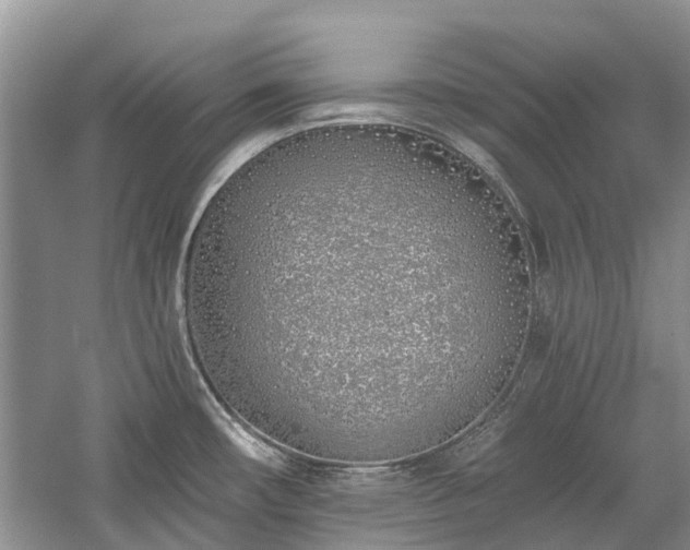 X0000059821482200510211134