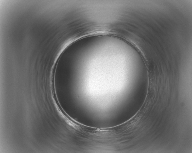 X0000059821483200510211134