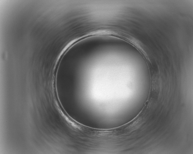 X0000059821484200510211133