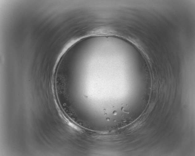 X0000059821486200510211133