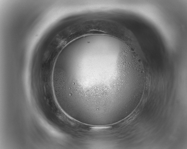 X0000059821487200510211133