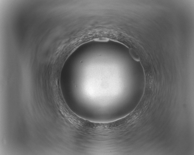 X0000059821489200510211133