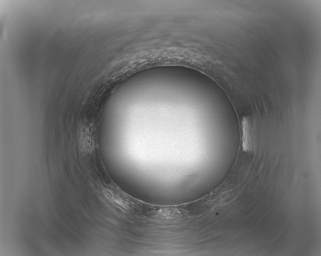 X0000059821491200510211133