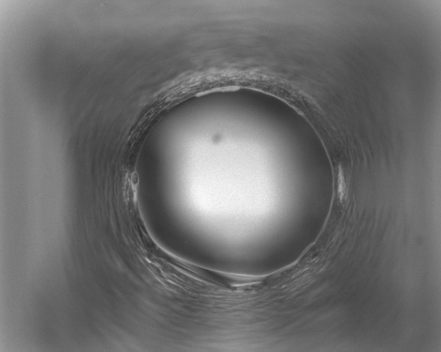 X0000059821492200510211133