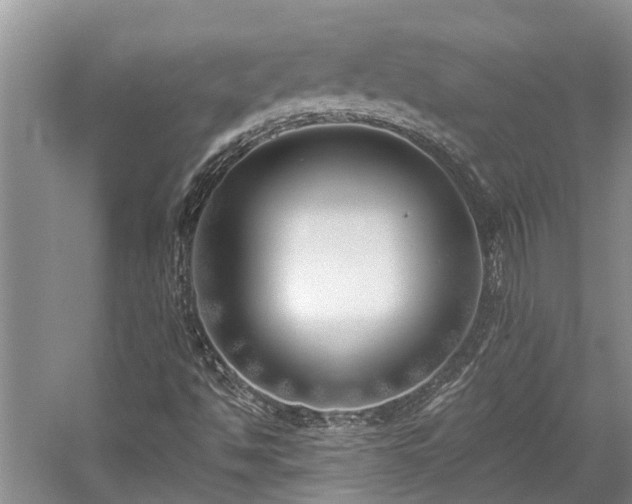 X0000059821494200510211133