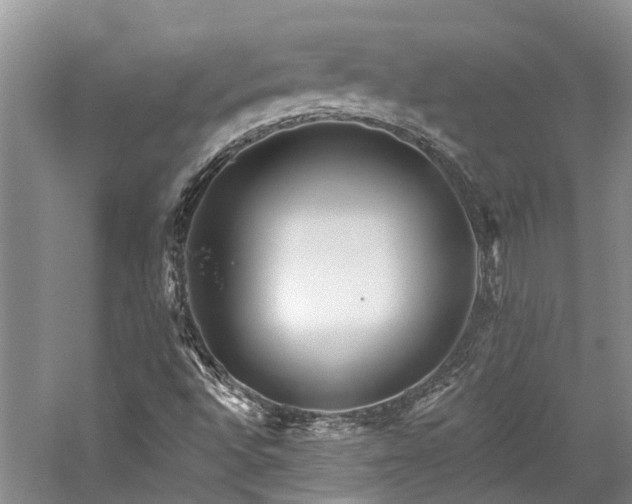 X0000059821496200510211133