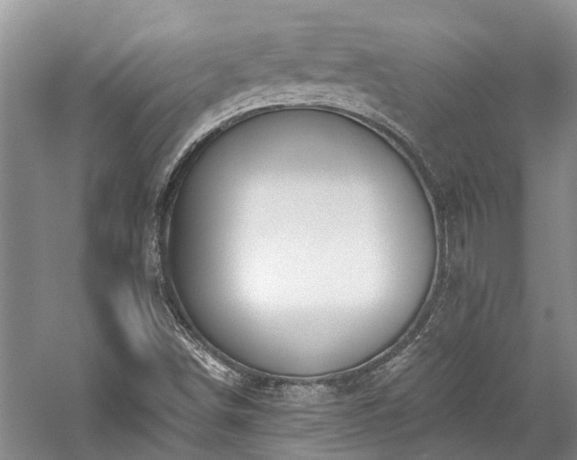 X0000059821498200510211133