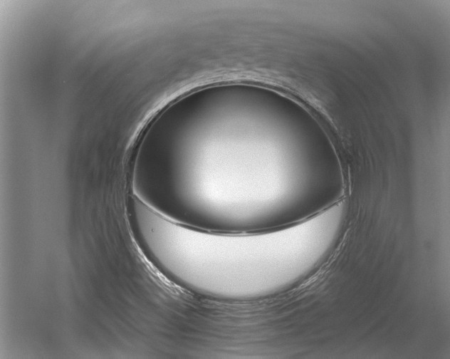 X0000059821500200510211133